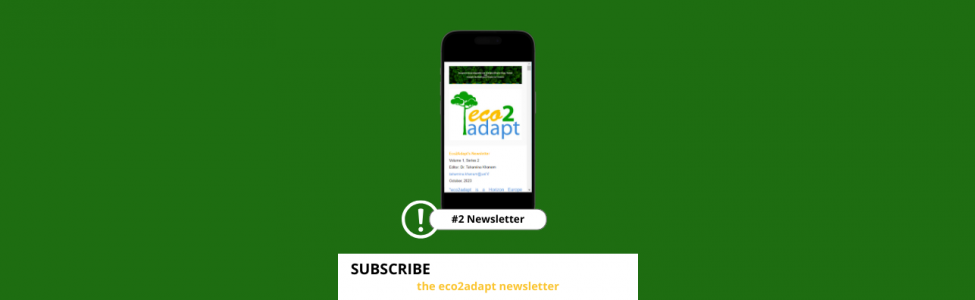 Newsletter-issue-2.png